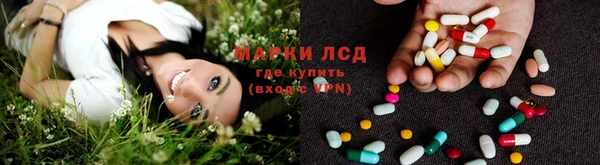 амф Новокубанск
