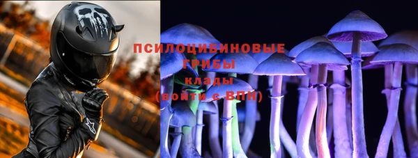 мет Абаза