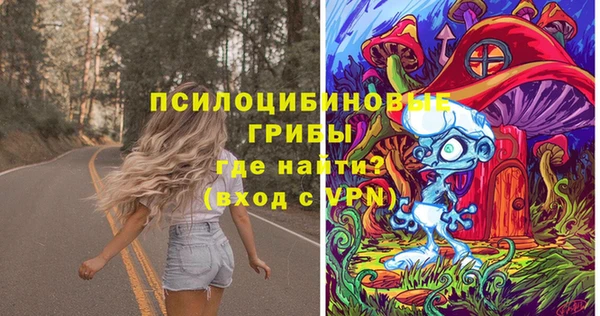 стафф Новодвинск