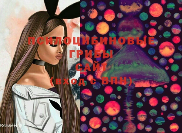 эйфоретик Абинск