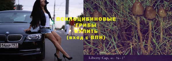 мет Абаза