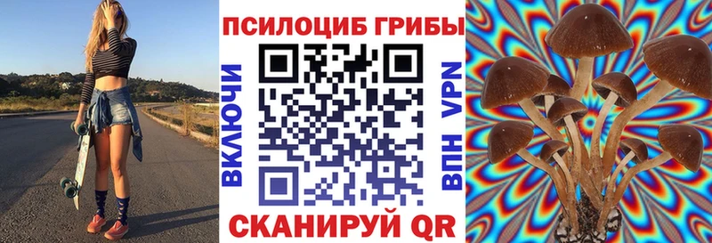 Псилоцибиновые грибы GOLDEN TEACHER  Урус-Мартан 