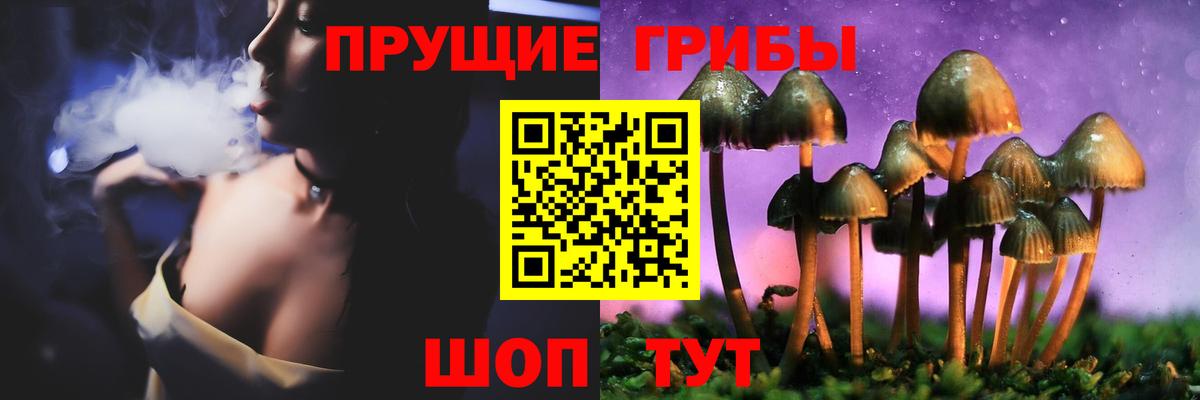 Псилоцибиновые грибы Cubensis  Вход с VPN  Урус-Мартан 